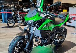 Kawasaki Z 500 (2024 - 26) nuova