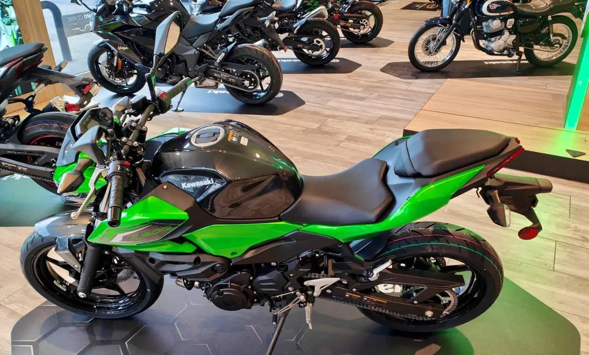 Kawasaki Z 500 (2024 - 26) (6)