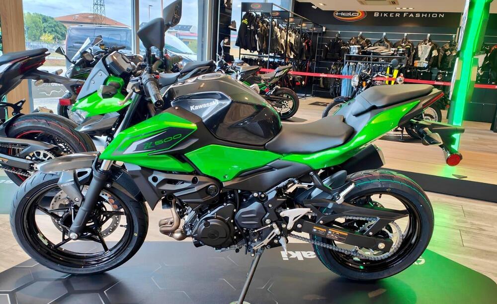 Kawasaki Z 500 (2024 - 26) (4)