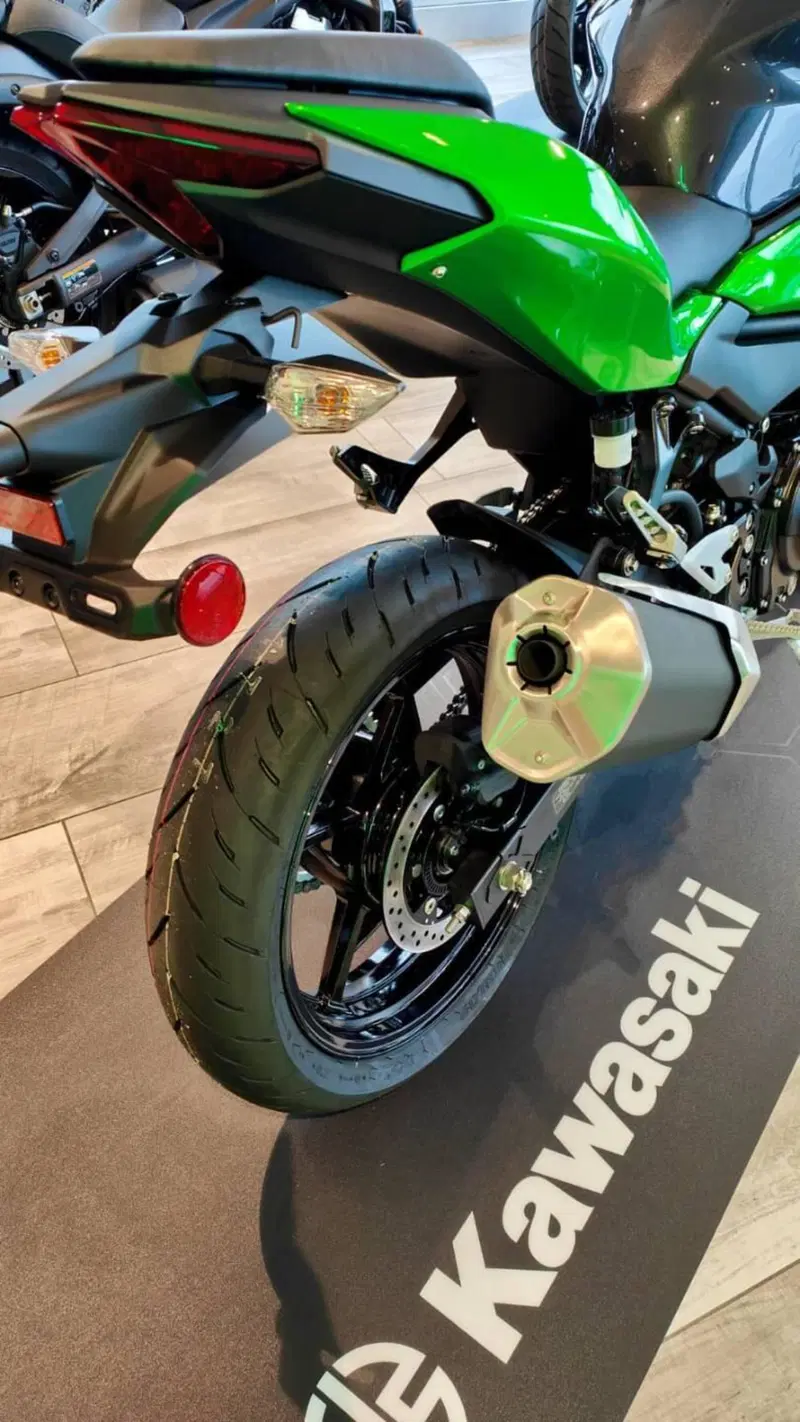 Kawasaki Z 500 (2024 - 26) (7)
