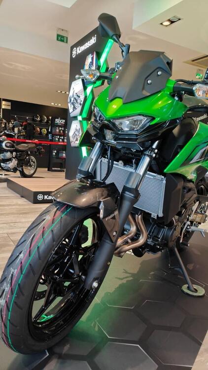 Kawasaki Z 500 (2024 - 26) (5)