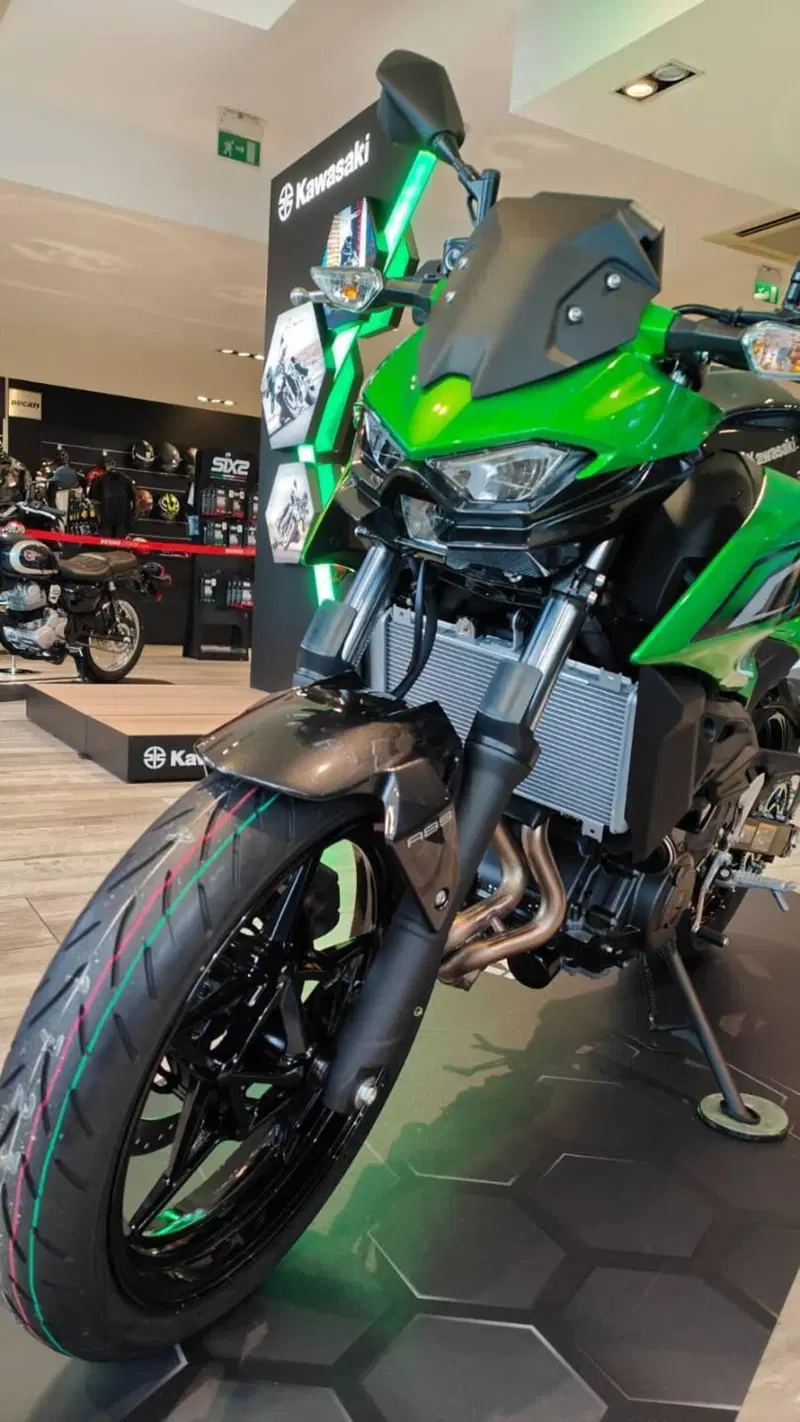 Kawasaki Z 500 (2024 - 26) (5)