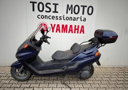 Yamaha Majesty 250 (1995 - 99) usata