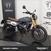 Fantic Motor Caballero 500 Scrambler (2024) (6)