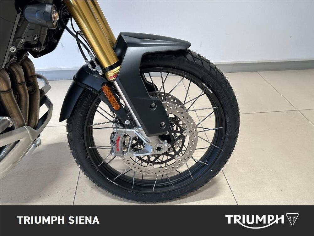 Triumph Tiger 1200 Rally Pro (2024 - 25) (4)