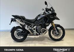 Triumph Tiger 1200 Rally Pro (2024 - 25) usata