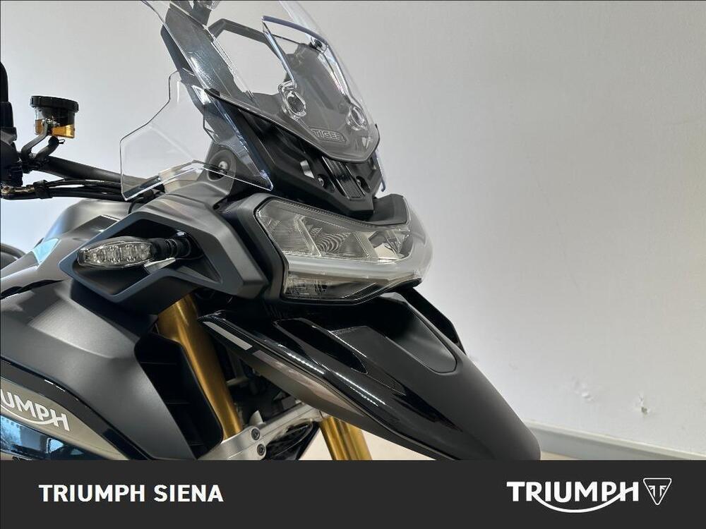 Triumph Tiger 1200 Rally Pro (2024 - 25) (5)