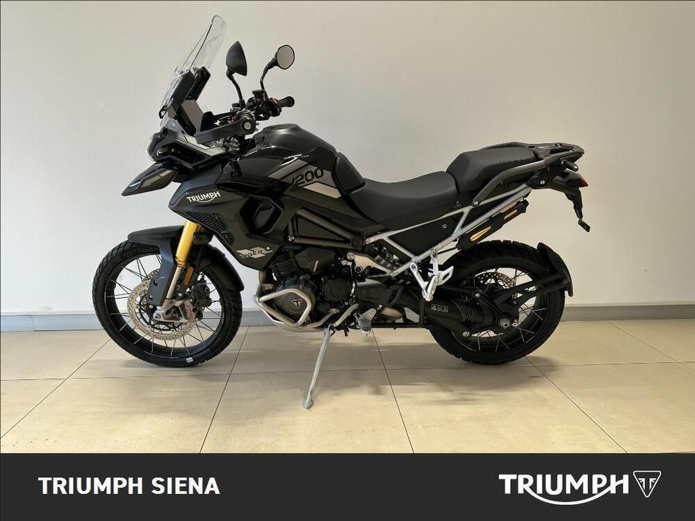 Triumph Tiger 1200 Rally Pro (2024 - 25) (3)