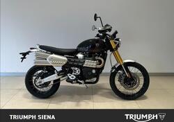 Triumph Scrambler 1200 XE (2024 - 25) nuova