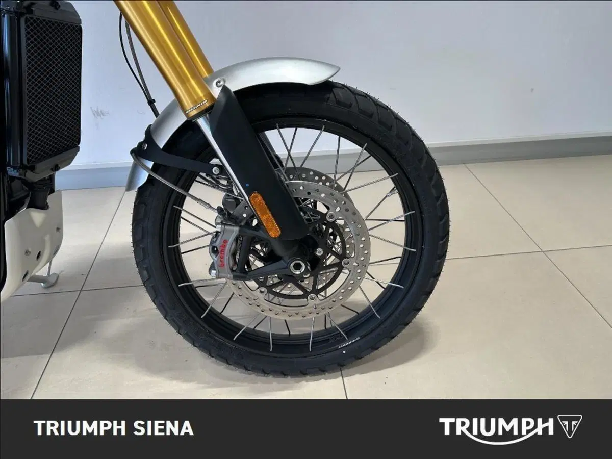 Triumph Scrambler 1200 XE (2024 - 25) (4)