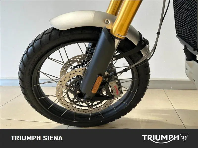 Triumph Scrambler 1200 XE (2024 - 25) (14)