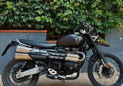 Triumph Scrambler 1200 XC (2019 - 20) usata