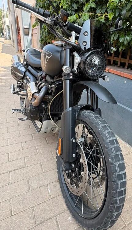Triumph Scrambler 1200 XC (2019 - 20) (4)