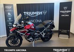 Triumph Tiger 1200 GT Pro (2024 - 25) usata