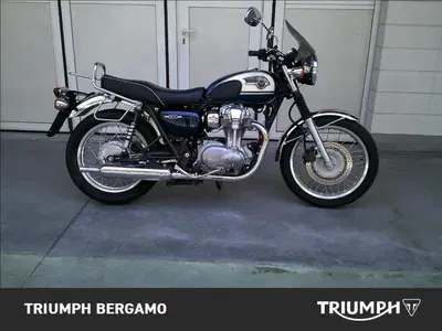 Kawasaki W 800 (2010 - 17) usata