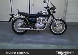 Kawasaki W 800 (2010 - 17) usata