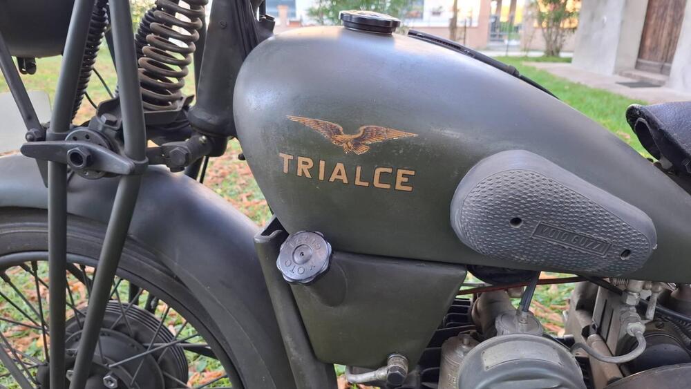 Moto Guzzi Trialce (4)