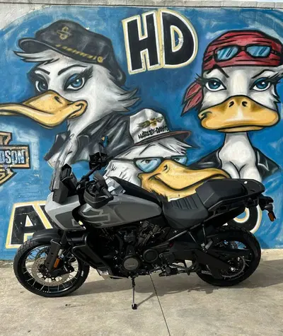 Harley-Davidson Pan America 1250 Special (2020 - 25) nuova