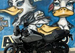 Harley-Davidson Pan America 1250 Special (2020 - 25) nuova