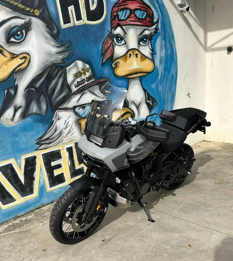 Harley-Davidson Pan America 1250 Special (2020 - 25) (4)