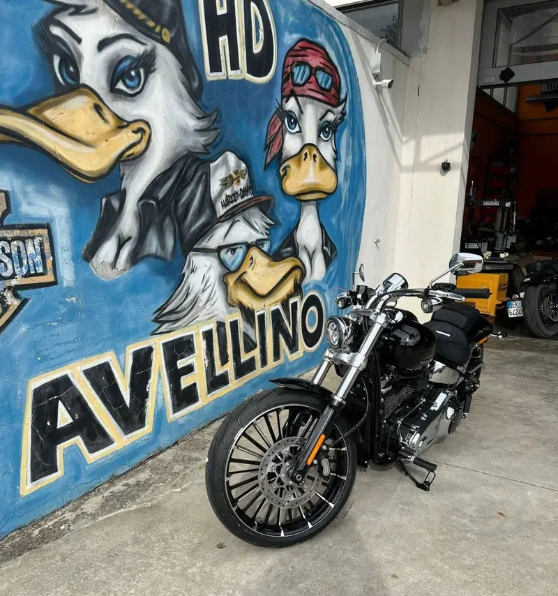 Harley-Davidson Breakout 117 (2025 - 26) (6)