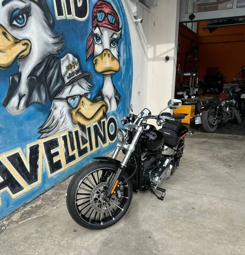Harley-Davidson Breakout 117 (2025 - 26) (10)