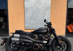 Harley-Davidson Sportster S (2022 - 24) usata