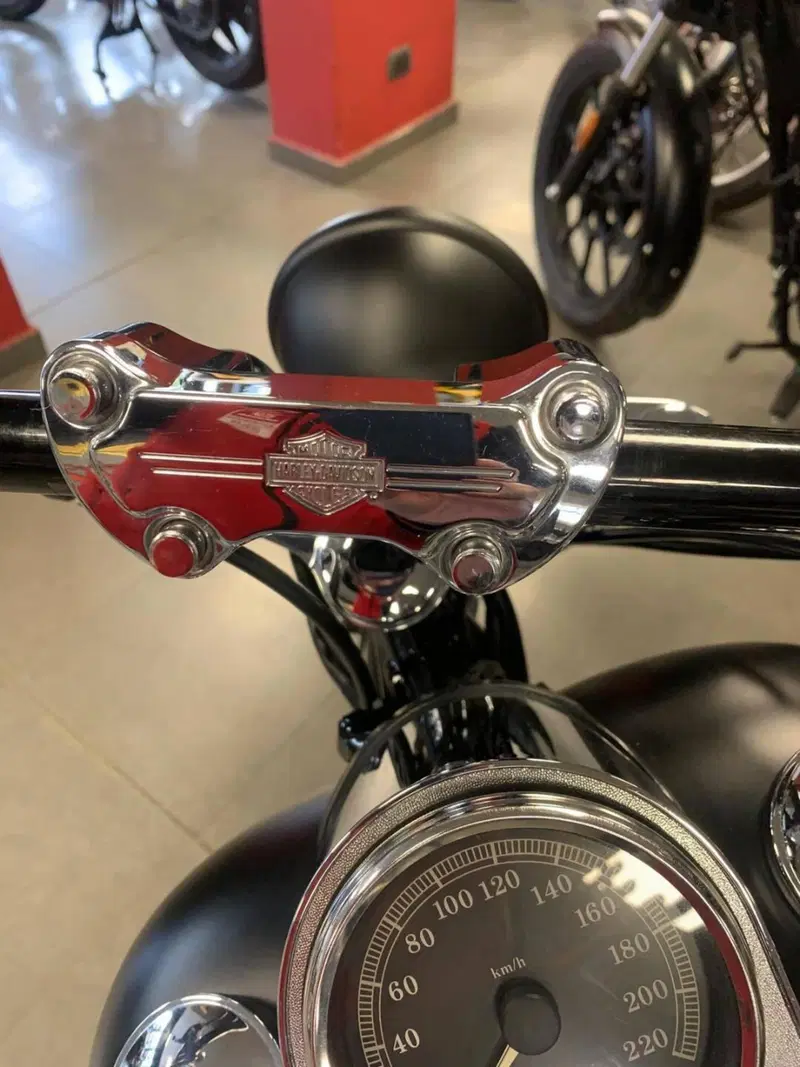 Harley-Davidson 1450 Standard (2002 - 05) - FXSTI (9)