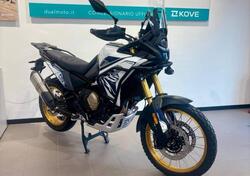 Voge Valico 800DSX Rally (2025) nuova