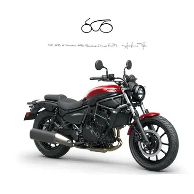 Kawasaki Eliminator 500 (2024 - 26) nuova