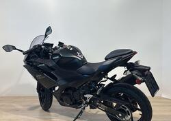 Kawasaki Ninja 500 (2024 - 26) nuova