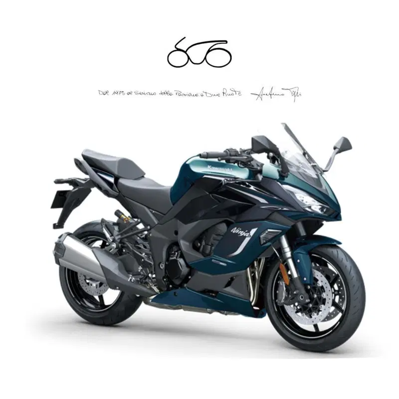 Kawasaki Ninja 1100 SX SE (2025 - 26)