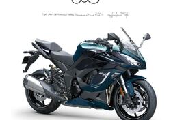 Kawasaki Ninja 1100 SX SE (2025 - 26) nuova