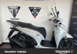 Honda SH 350 (2021 - 24) usata