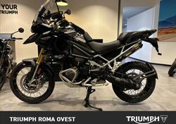 Triumph Tiger 1200 Rally Pro (2024 - 25) usata