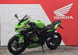 Kawasaki Ninja ZX-4RR (2024 - 26) usata