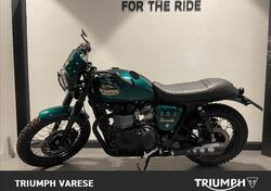 Triumph Bonneville T100 (2008 - 16) usata