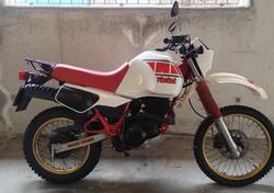 Yamaha Tenéré 600 XT600 d'epoca