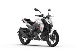 Morbidelli F125 (2025) nuova