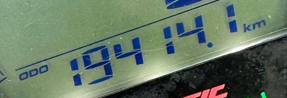 Fantic Motor Caballero 500 Flat Track (2018 - 21) (3)