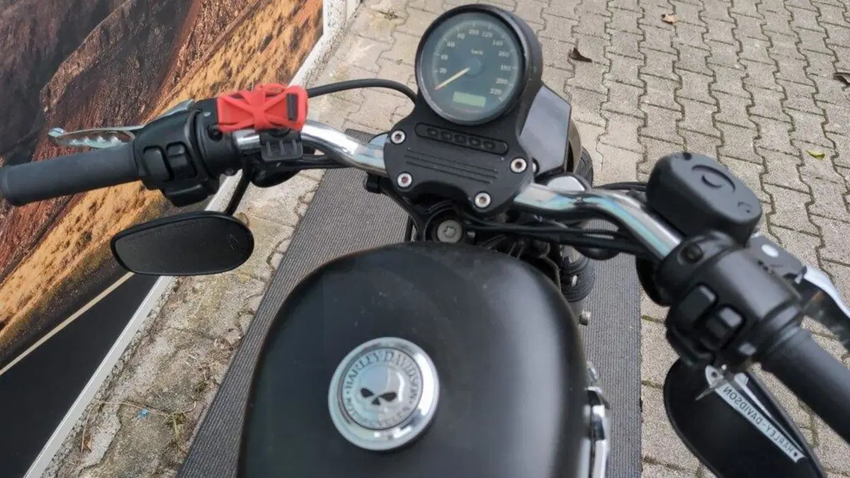 Harley-Davidson 883 Iron (2012 - 14) - XL 883N (3)