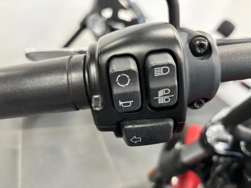 Harley-Davidson 107 Street Bob (2018 - 20) - FXBB (7)