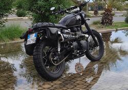 Triumph Scrambler (2006 - 17) usata