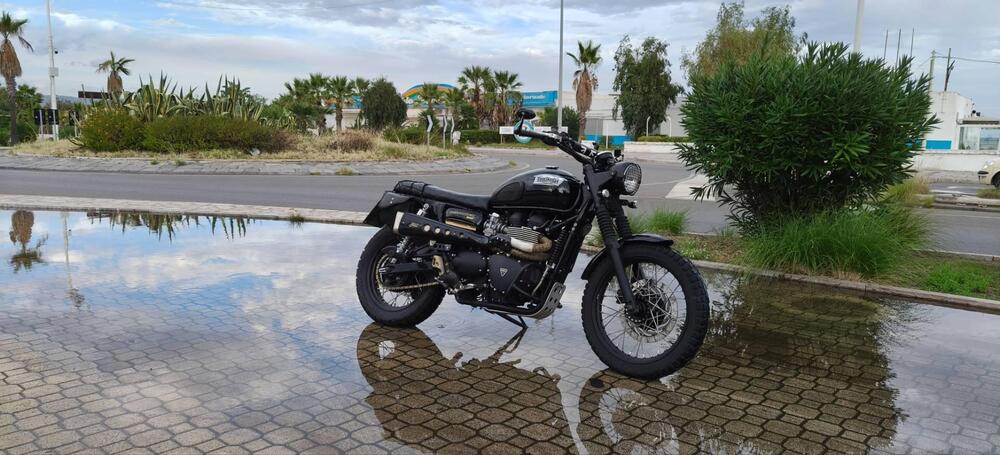 Triumph Scrambler (2006 - 17) (5)