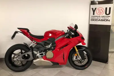 Ducati Panigale V4 S (2025 - 26) usata