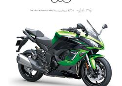 Kawasaki Ninja 1100 SX SE (2025 - 26) nuova