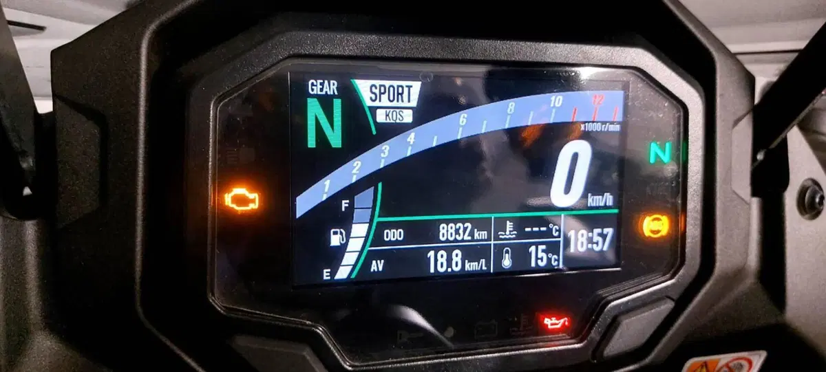 Kawasaki Ninja 1000 SX 40th Anniversary Edition (2024) (5)