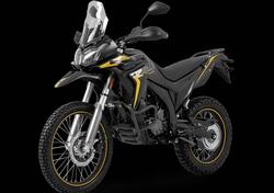 Voge Valico 300 Rally (2022 - 25) nuova