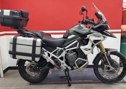 Triumph Tiger 1200 Rally Pro (2024 - 25) usata