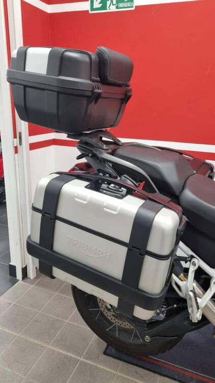 Triumph Tiger 1200 Rally Pro (2024 - 25) (4)